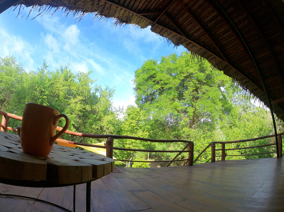 Thamaravila Wilpattu Luxury Tented Safari Villas主图
