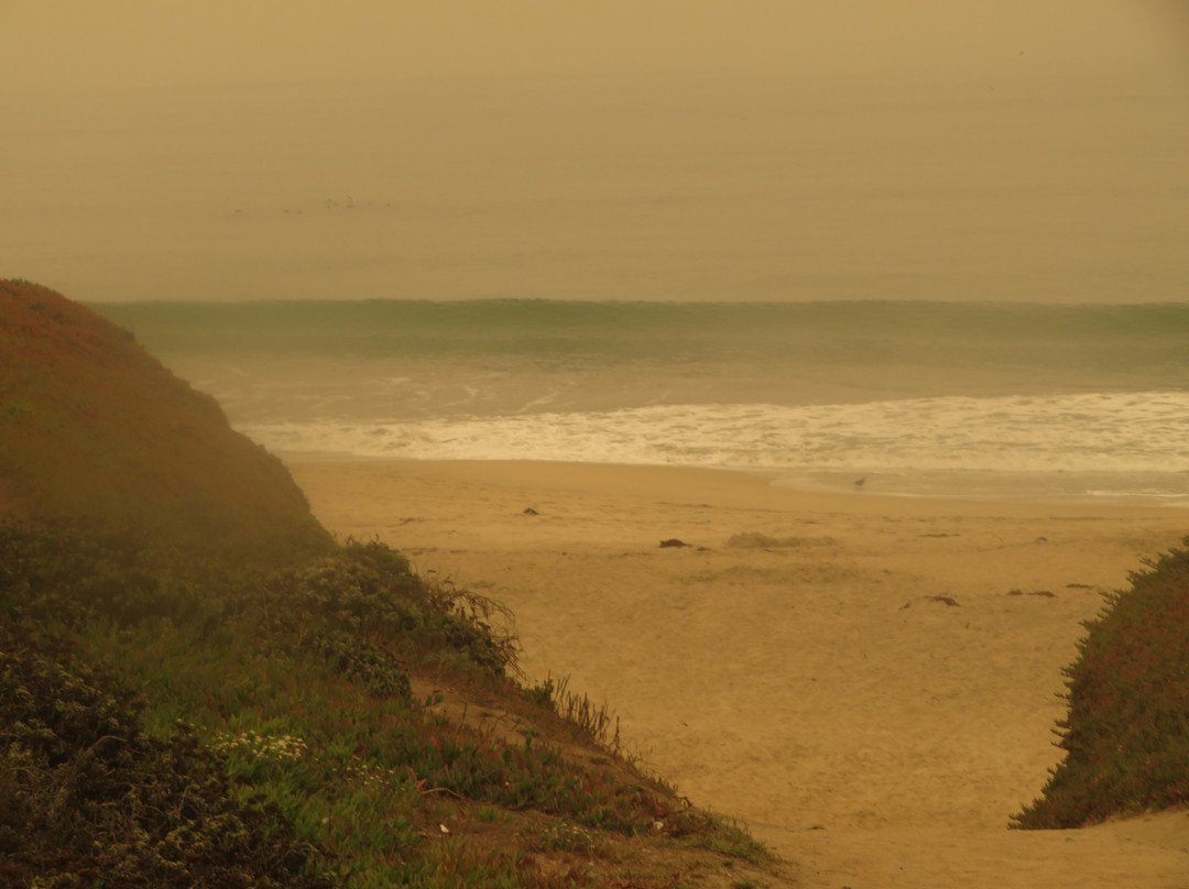 Dunes Beach景点图片