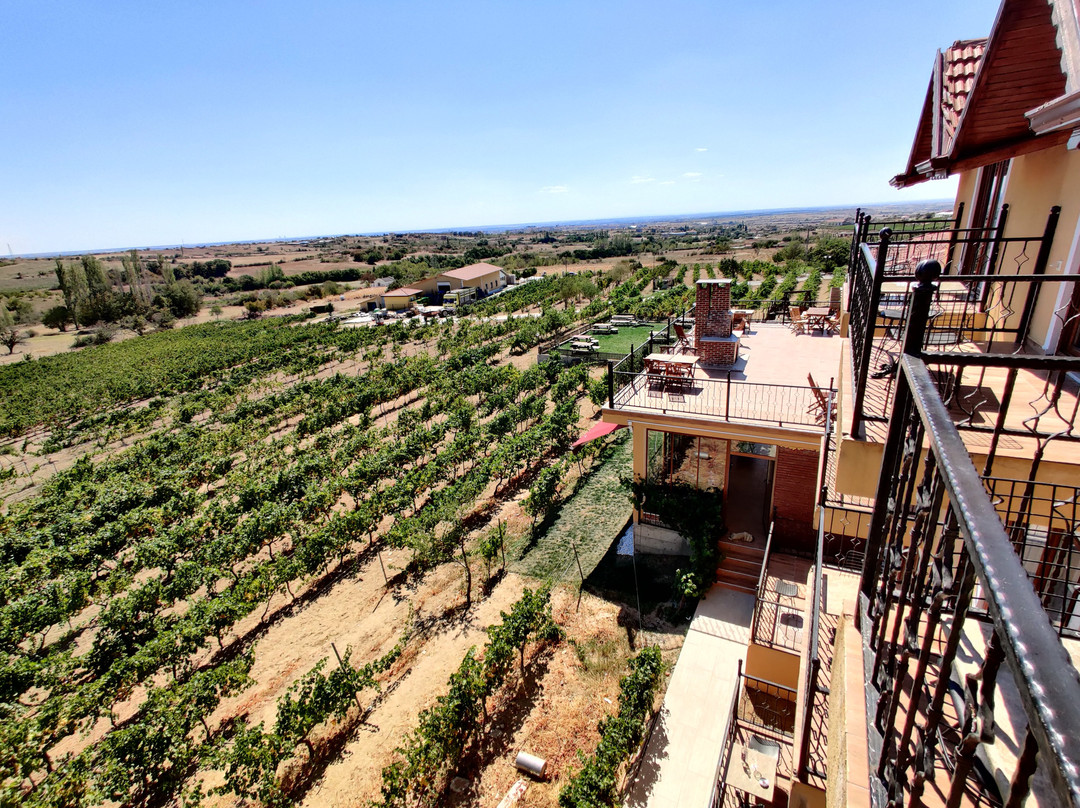 Dessera Bağ Evi主图