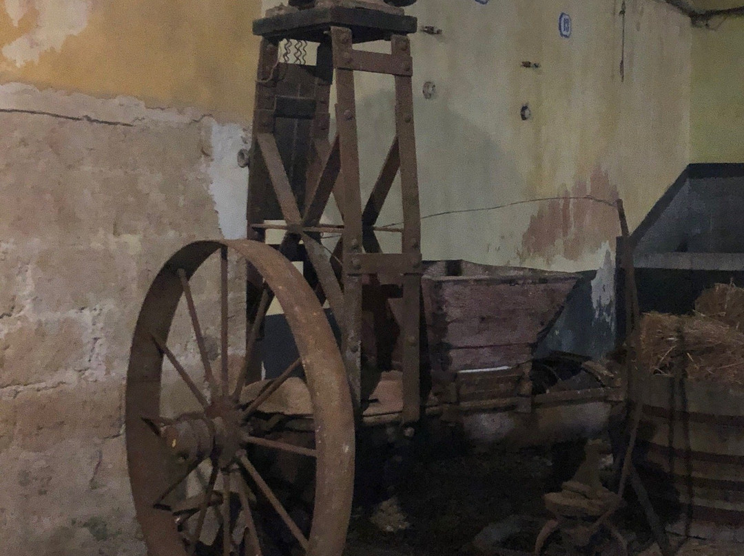 Adamo Bio Azienda Agricola-Calatafimi-Segesta必去景点