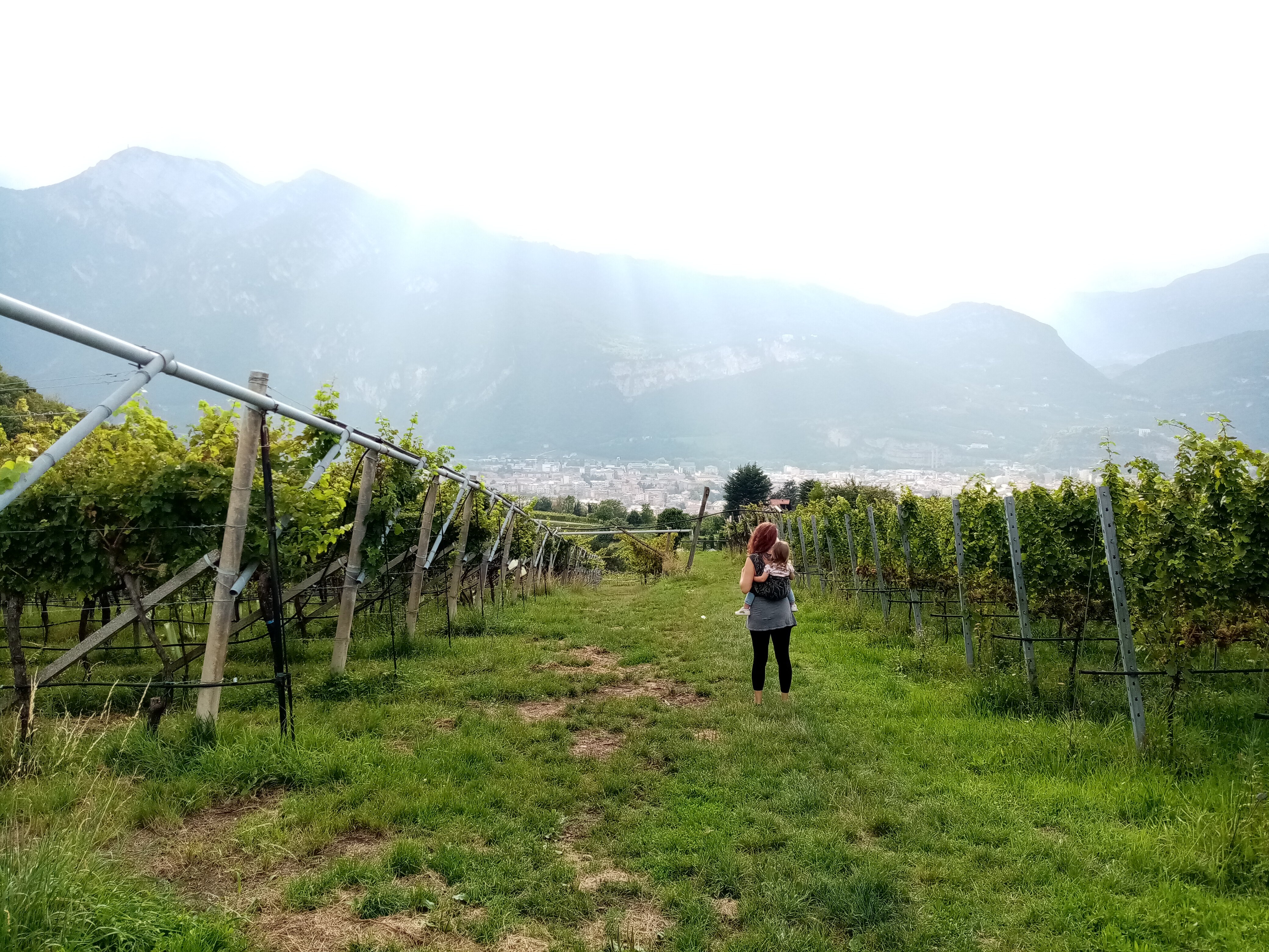 8 Grappoli Agritur-浴室