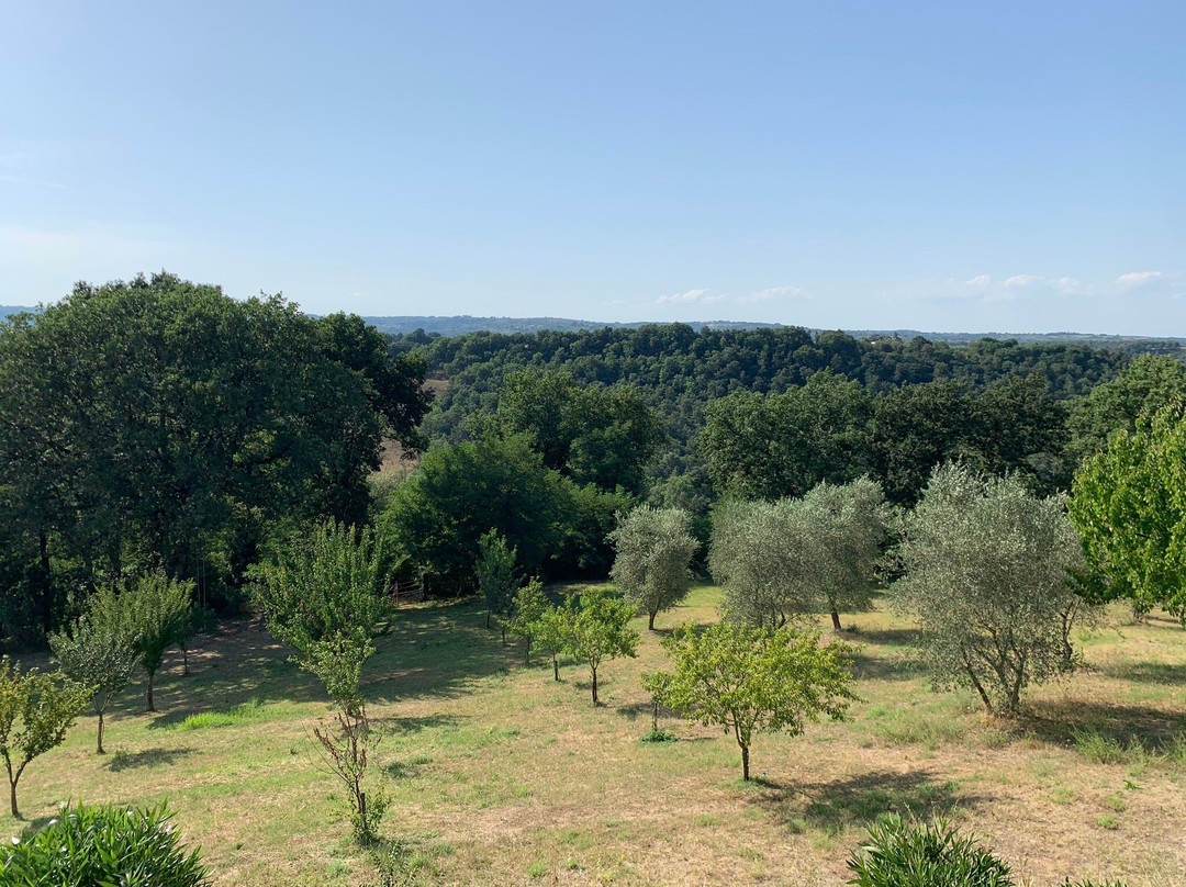 La Camilla Country House主图