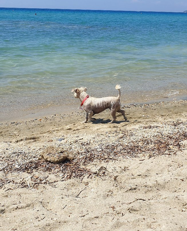 Fourka Beach-Fourka必去景点
