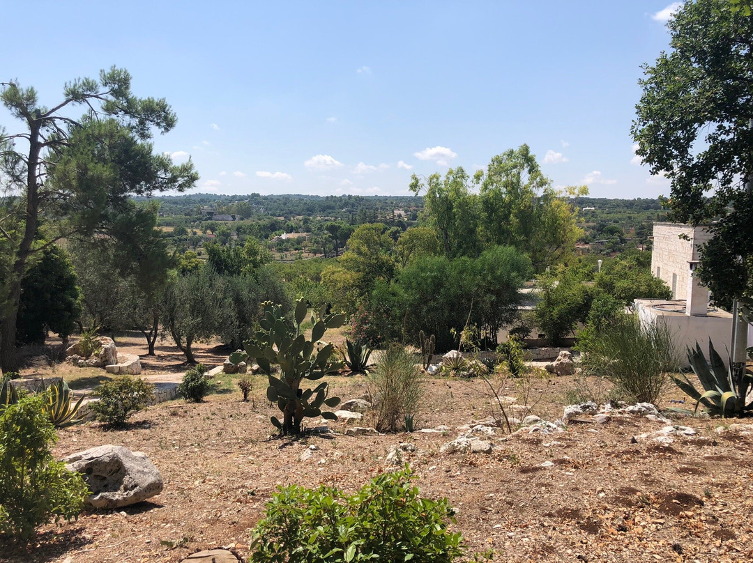 Fogliarella旅游攻略图片