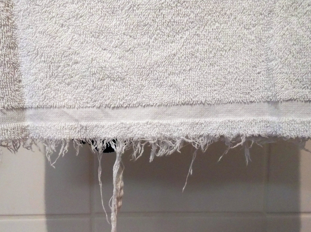 Hotel & Restaurant Grüner Baum主图