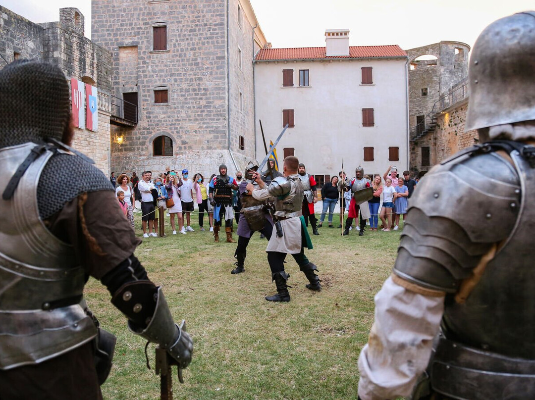 Medieval Nights in the Castle景点图片