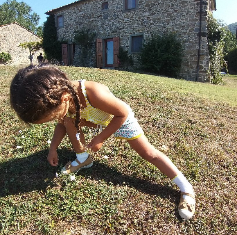 Fattoria il Trebbio - Agriturismo e B&B主图