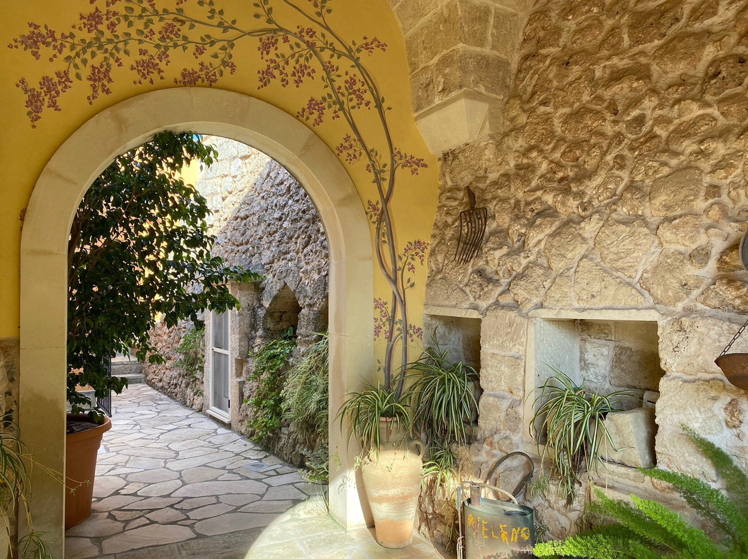 Agrihotel -Tenuta Masseria Del Gallo主图