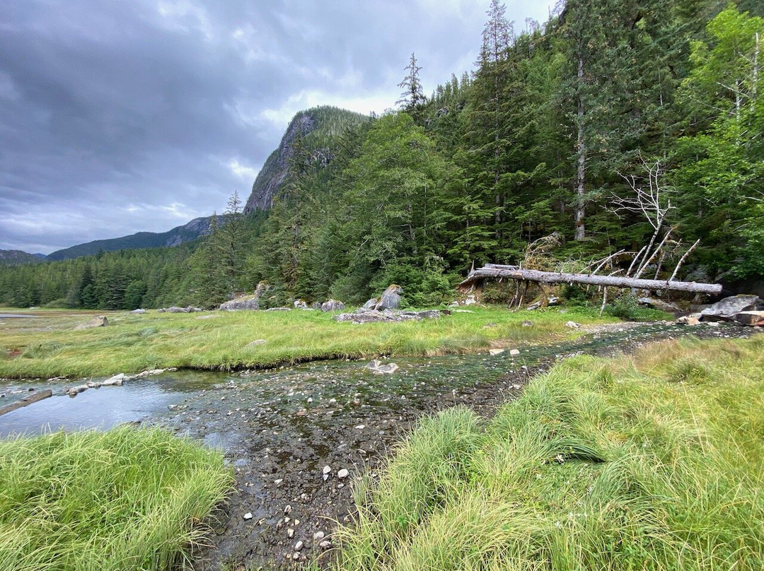 Great Bear Sailing Adventures-Bella Coola必去景点
