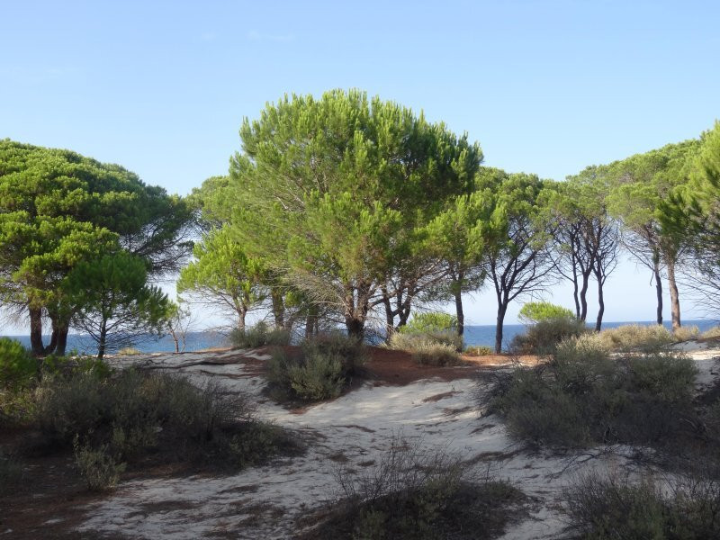 Villaggio Baia Dei Pini主图