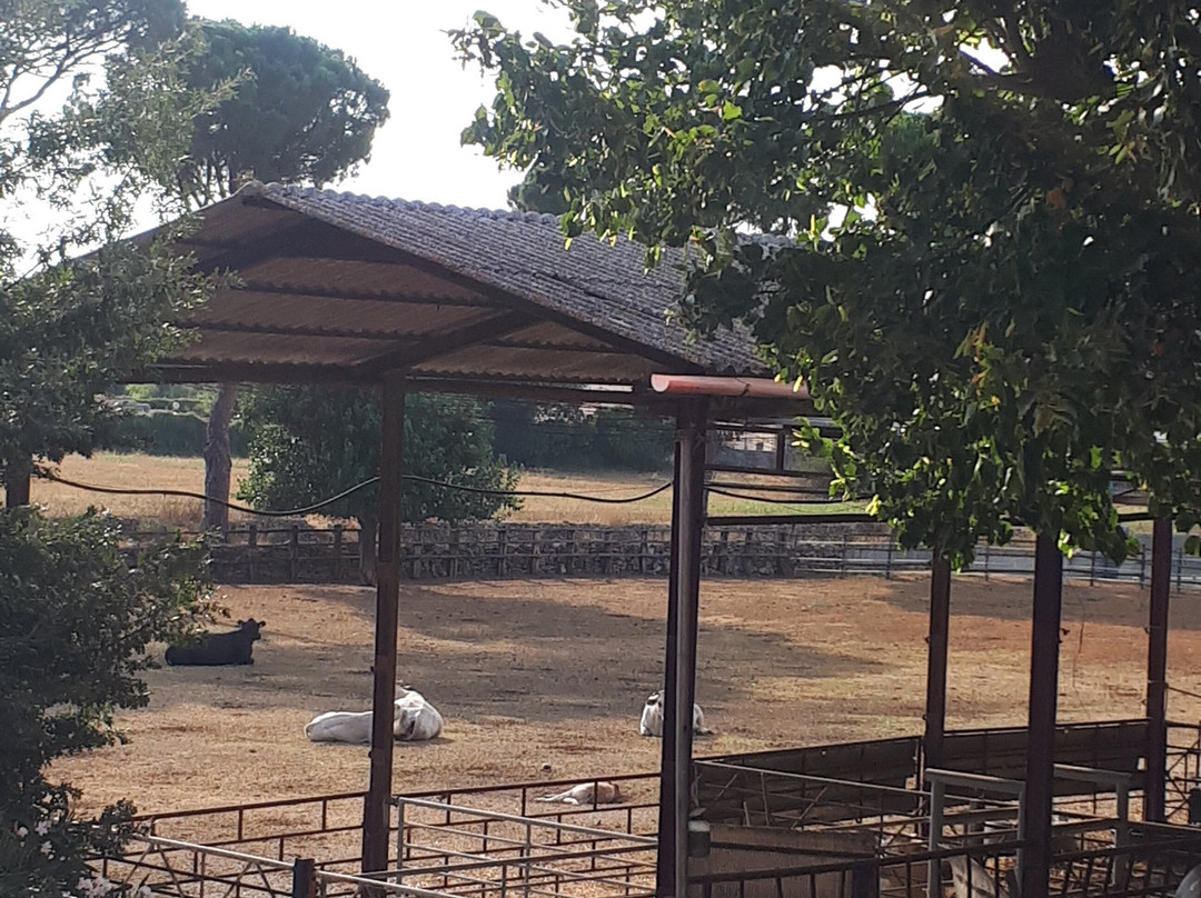 Agriturismo La Meridiana Fattoria Conversi主图