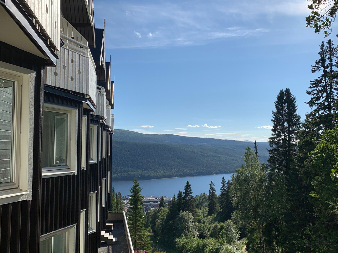 Hotell Fjällgården主图