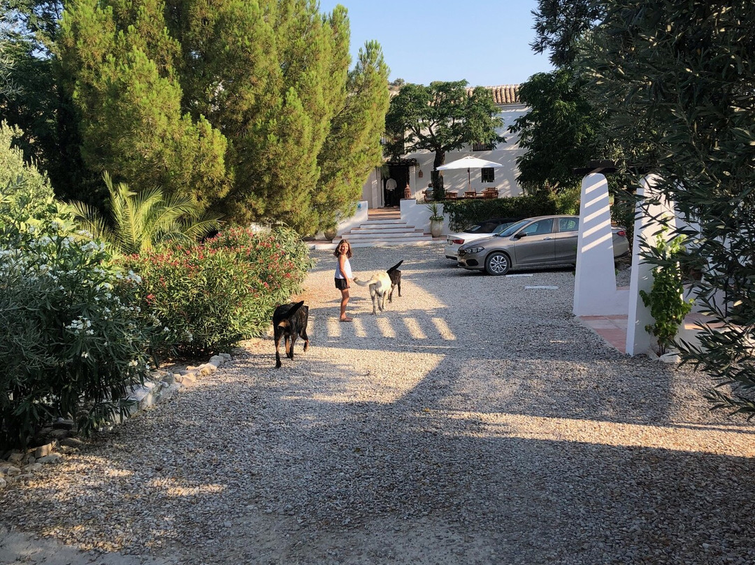 Caseria De San José主图