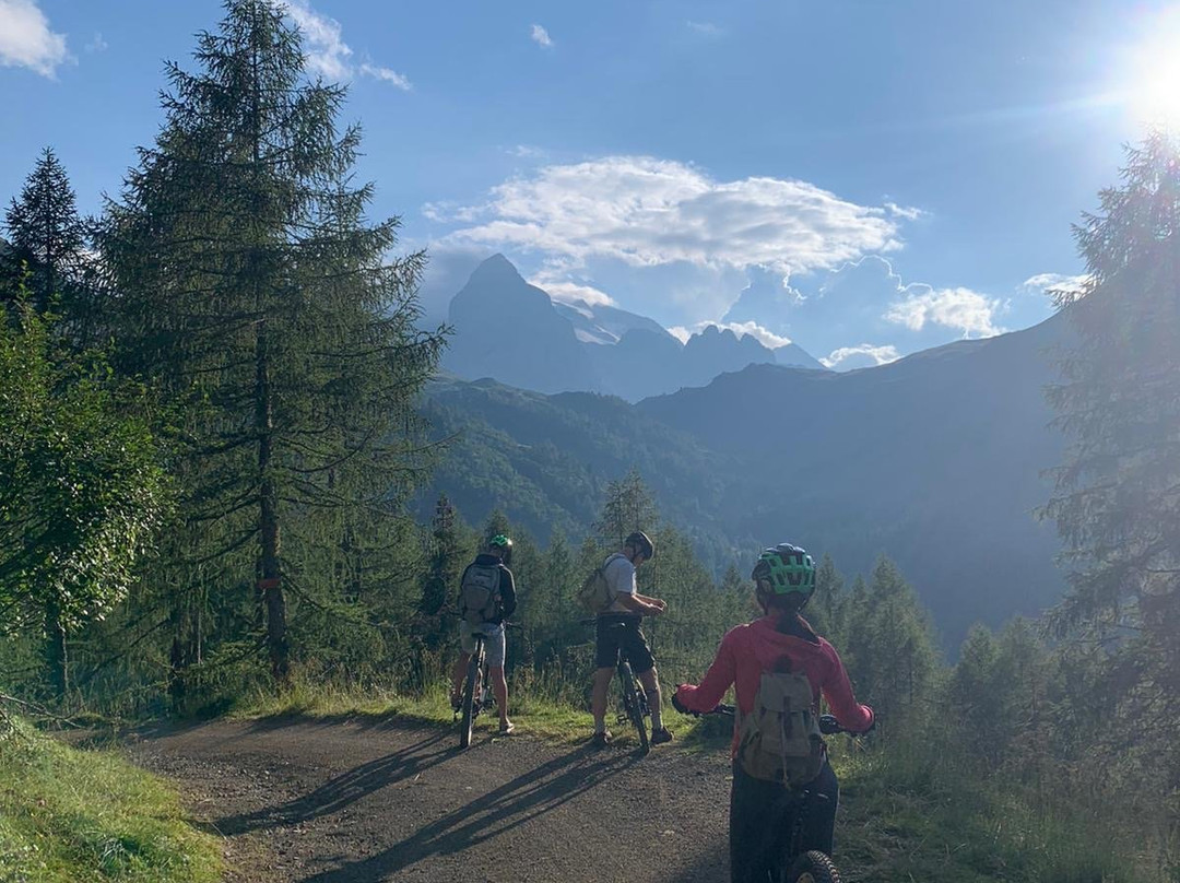 Wild in the Dolomiti景点图片