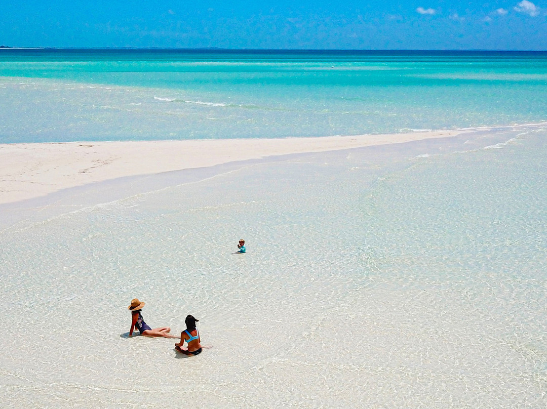 Panoply Sport Fishing & Luxury Charters-普罗维登西亚莱斯必去景点