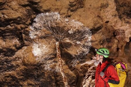 Grotte du Bosc景点图片