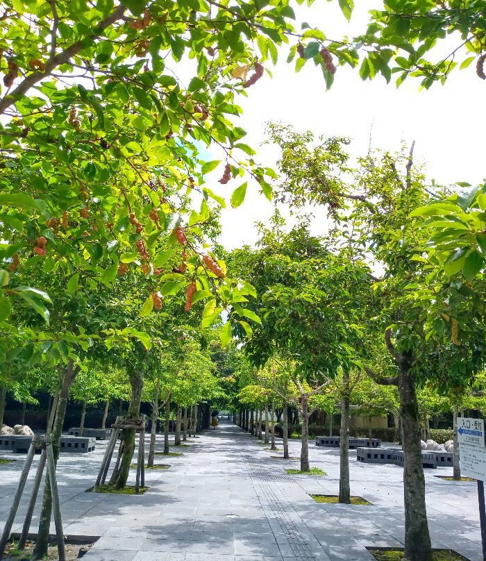 Kirishima Open-Art Museum-涌水町必去景点