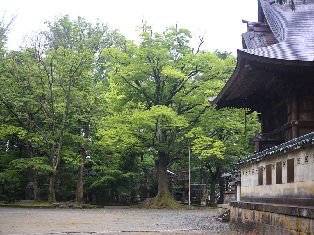 Kinpu Shrine-长冈市必去景点