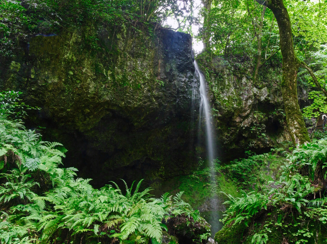 Shiratama Falls-新泻市必去景点