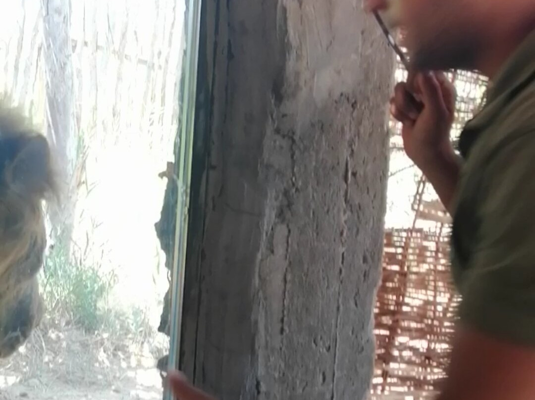 Africa Safari Park & Motel主图