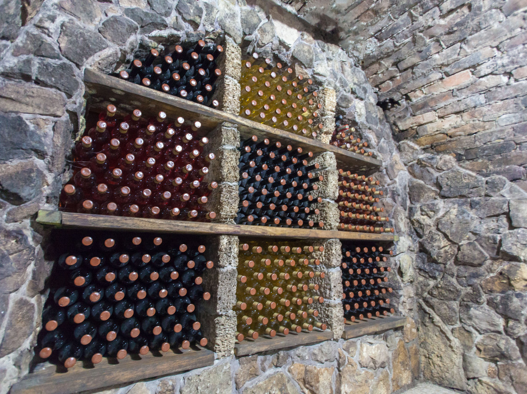 Kara Gani Winery-Vulcanesti必去景点