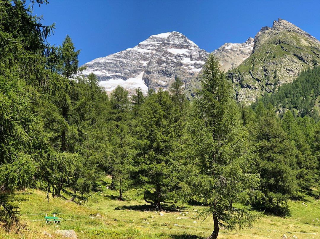 Lotschental Valley-Blatten必去景点