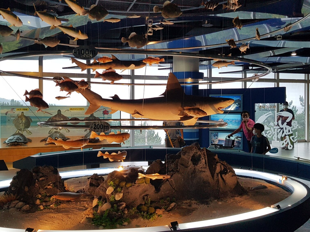 Samsa Marine Park-盈德郡必去景点