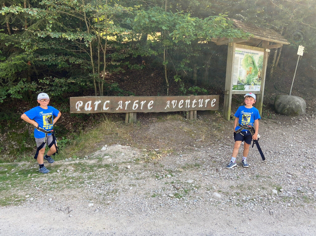 Parc Arbre Aventure-Kruth必去景点