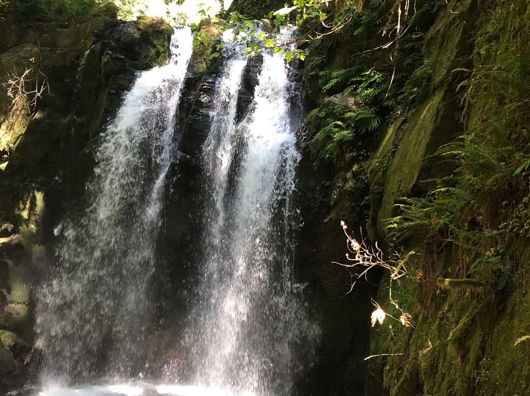 McDowell Creek Falls-Lebanon必去景点