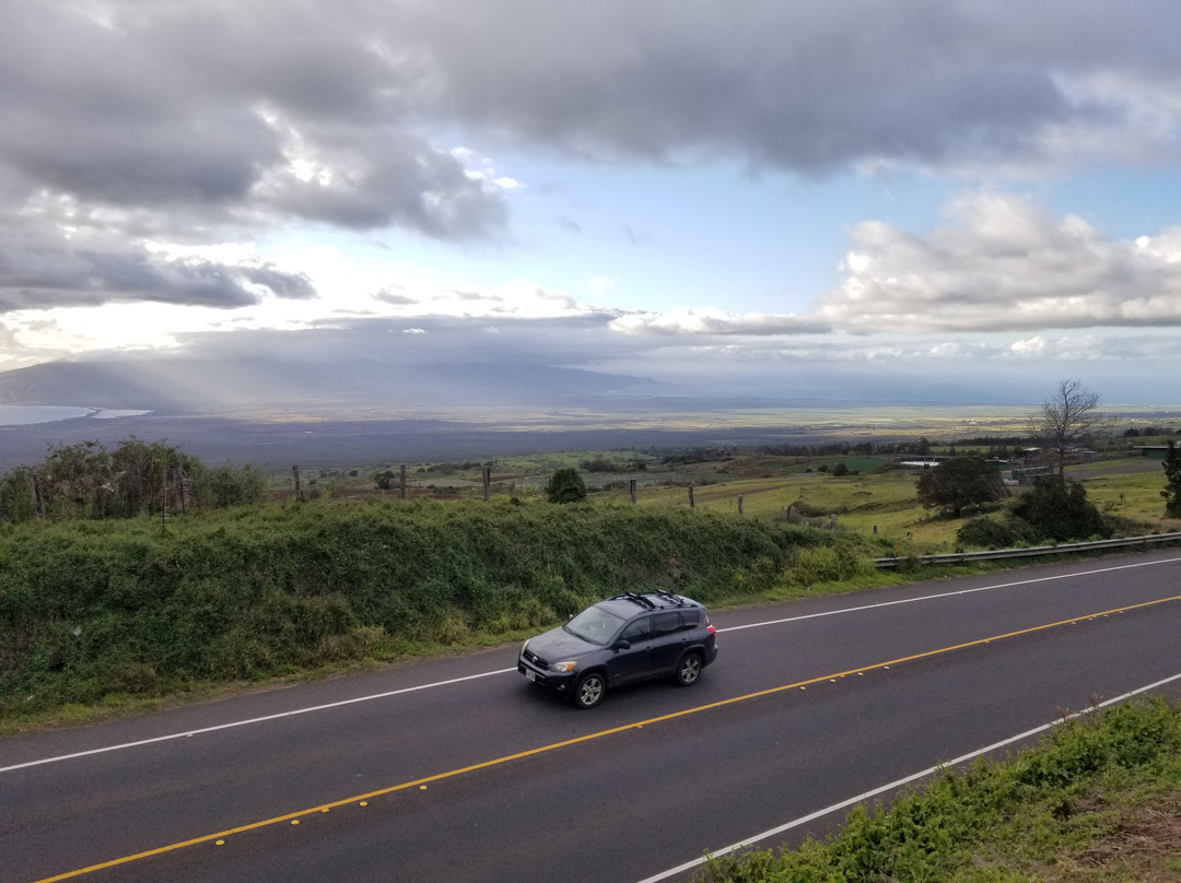 哈罗德•赖斯公园-库拉必去景点