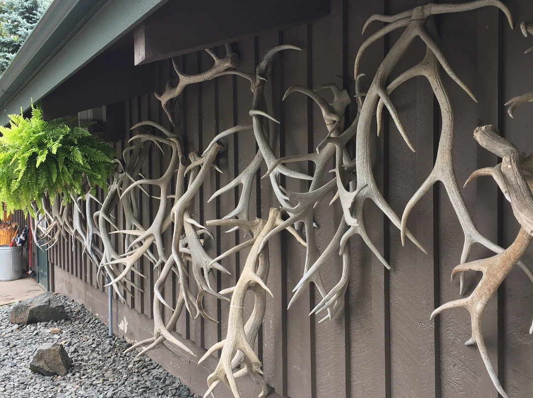 FAWN DOE ROSA Wildlife Educational Park-Saint Croix Falls必去景点