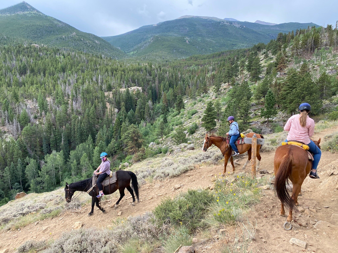 Jackson Stables-埃斯蒂斯公园必去景点