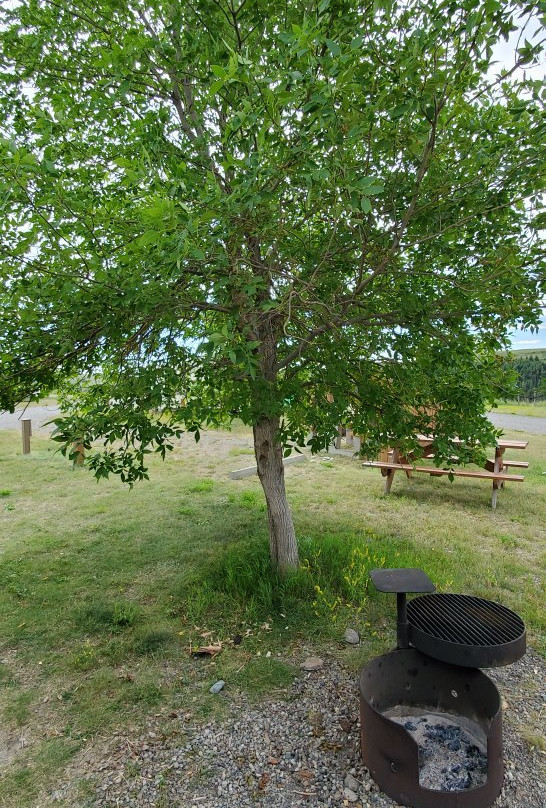 Castleview Campground