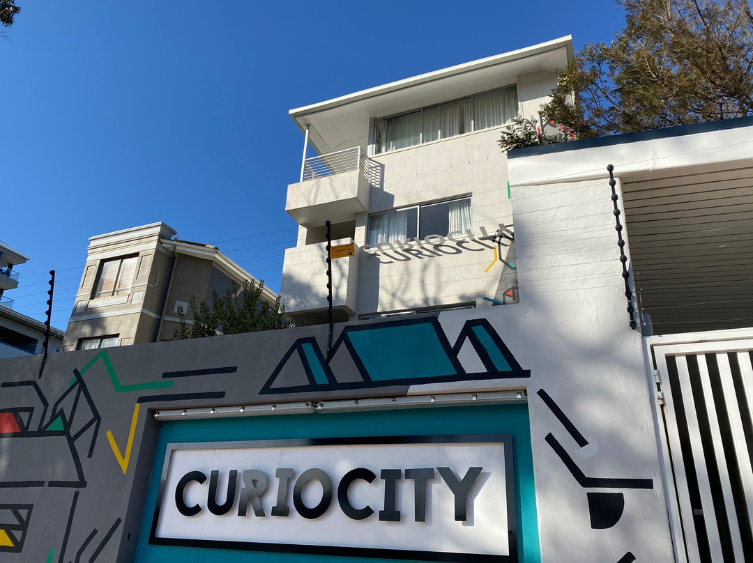 CURIOCITY Green Point主图