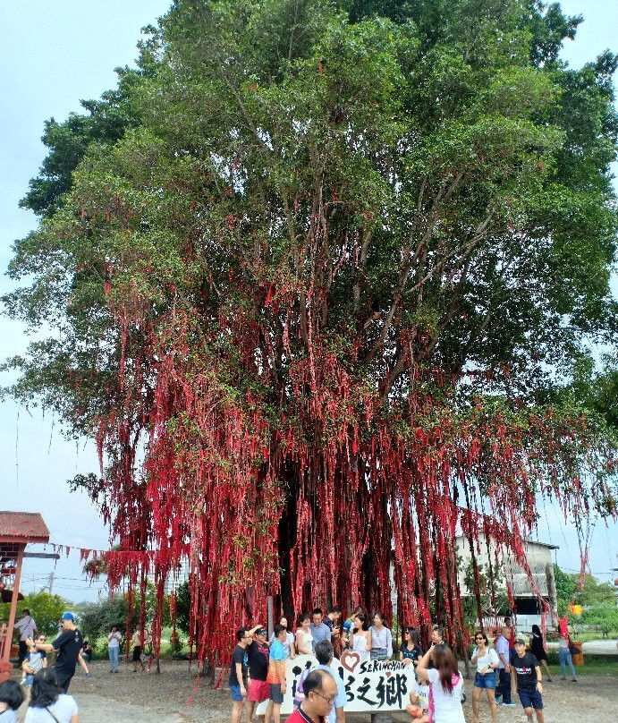 Pantai Redang-适耕庄必去景点