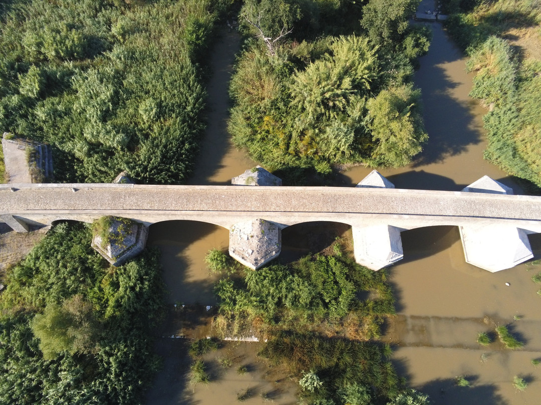 Ponte Romano sul Fiume Ofanto景点图片