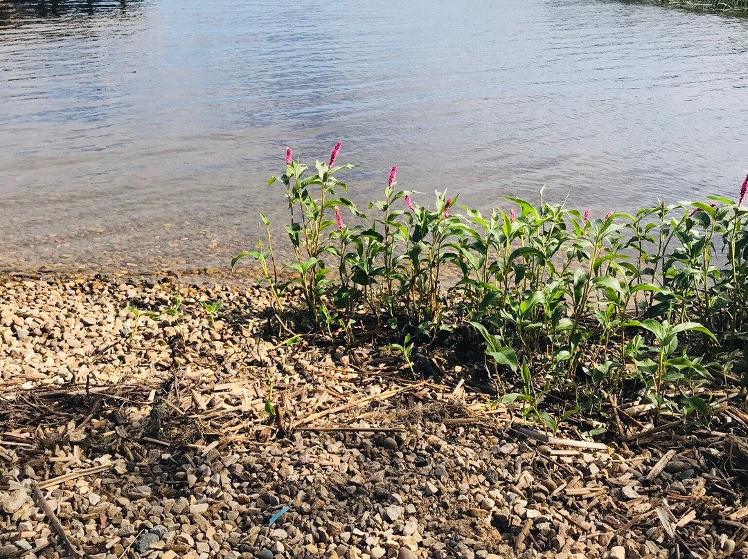 Williamson Provincial Park-Valleyview必去景点