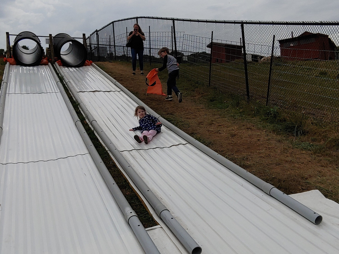 Bishop's Orchards-Guilford必去景点