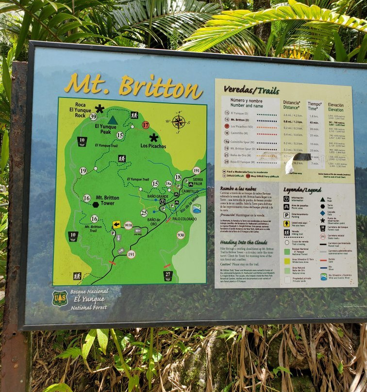 Torre Britton-云盖国家森林公园必去景点