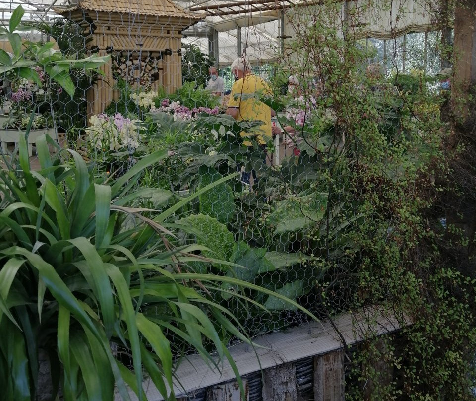 Currlin Orchideen, die Erlebnisgärtnerei景点图片