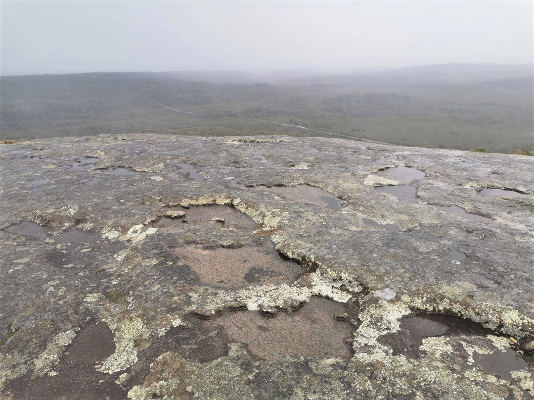 Mount Chudalup-Northcliffe必去景点