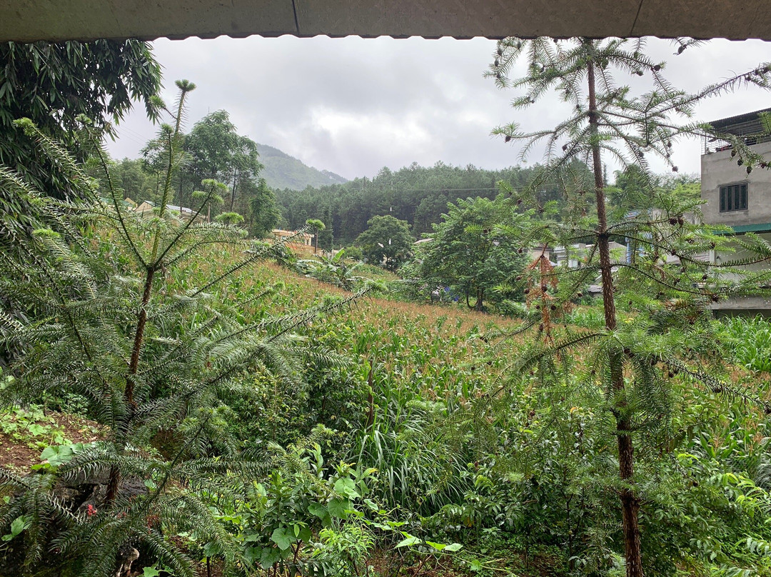 Aladdin Homestay Dong Van主图