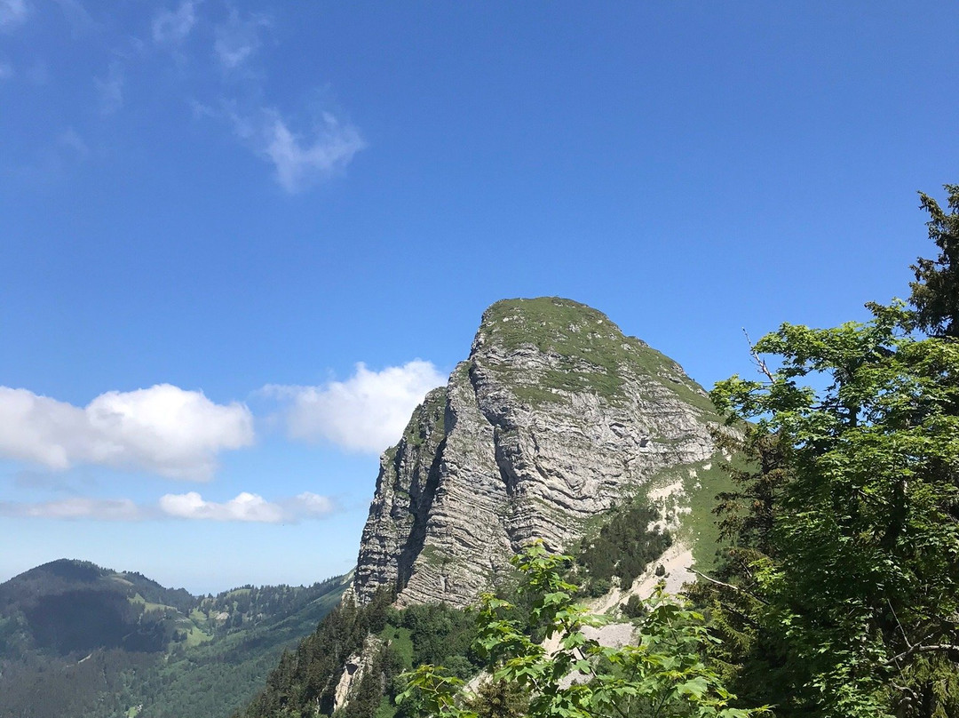 Dent de Jaman景点图片