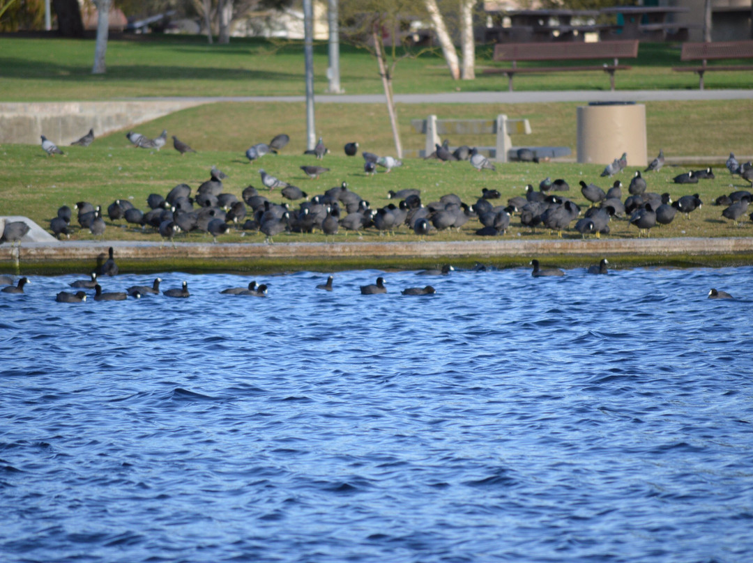Don Knabe Community Regional Park-喜瑞都必去景点