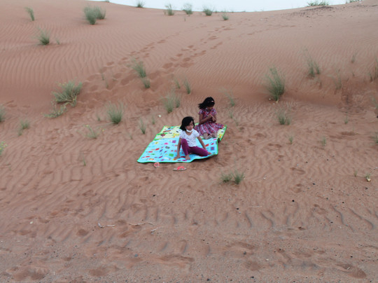 Hatta Swan Lake Bridge