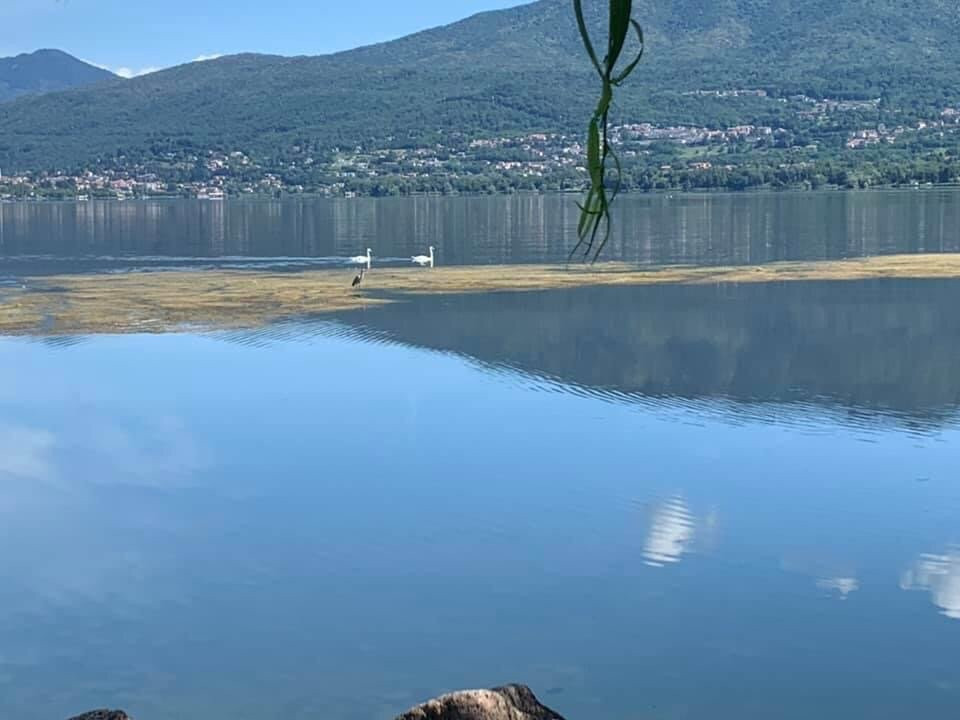 Cazzago Brabbia旅游攻略图片