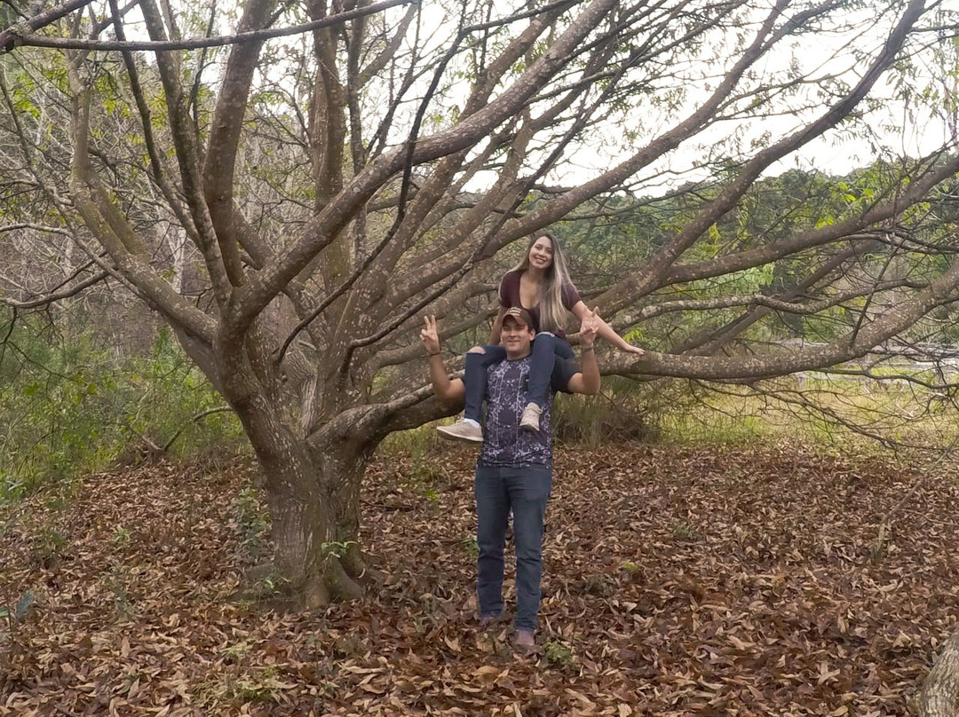 Sítio Mandaçaia主图