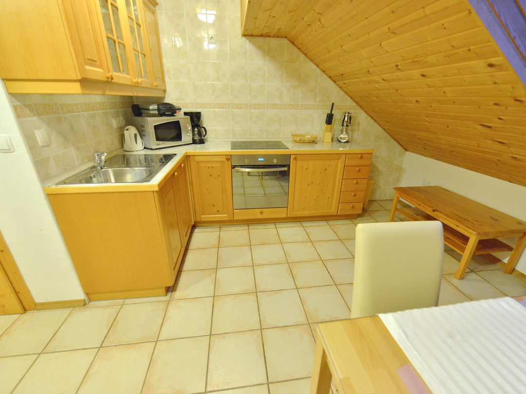 Apartments Rooms Kocijancic主图