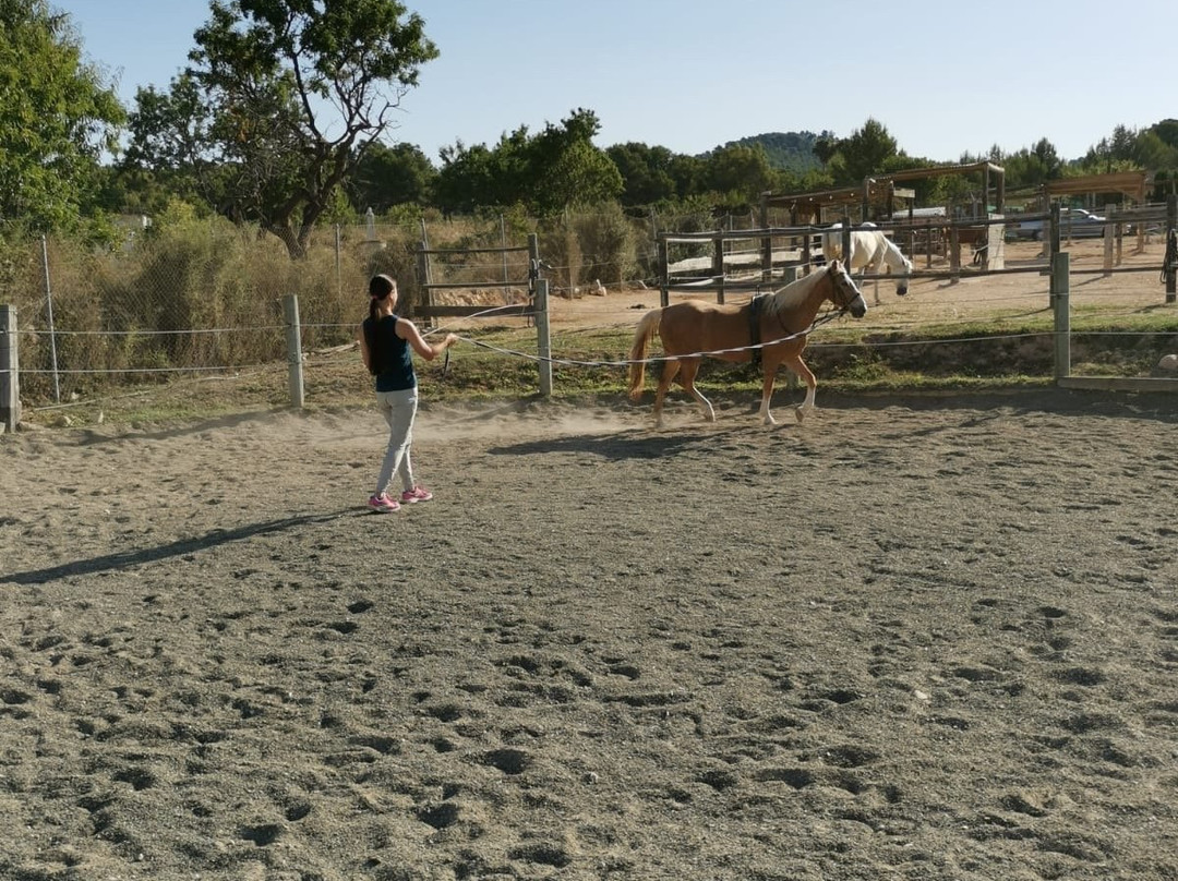 Club Hipic Riding Team Calpe-卡尔佩必去景点