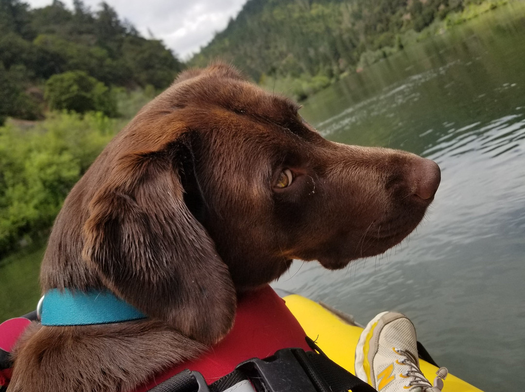 RIver Dance Raft Rentals